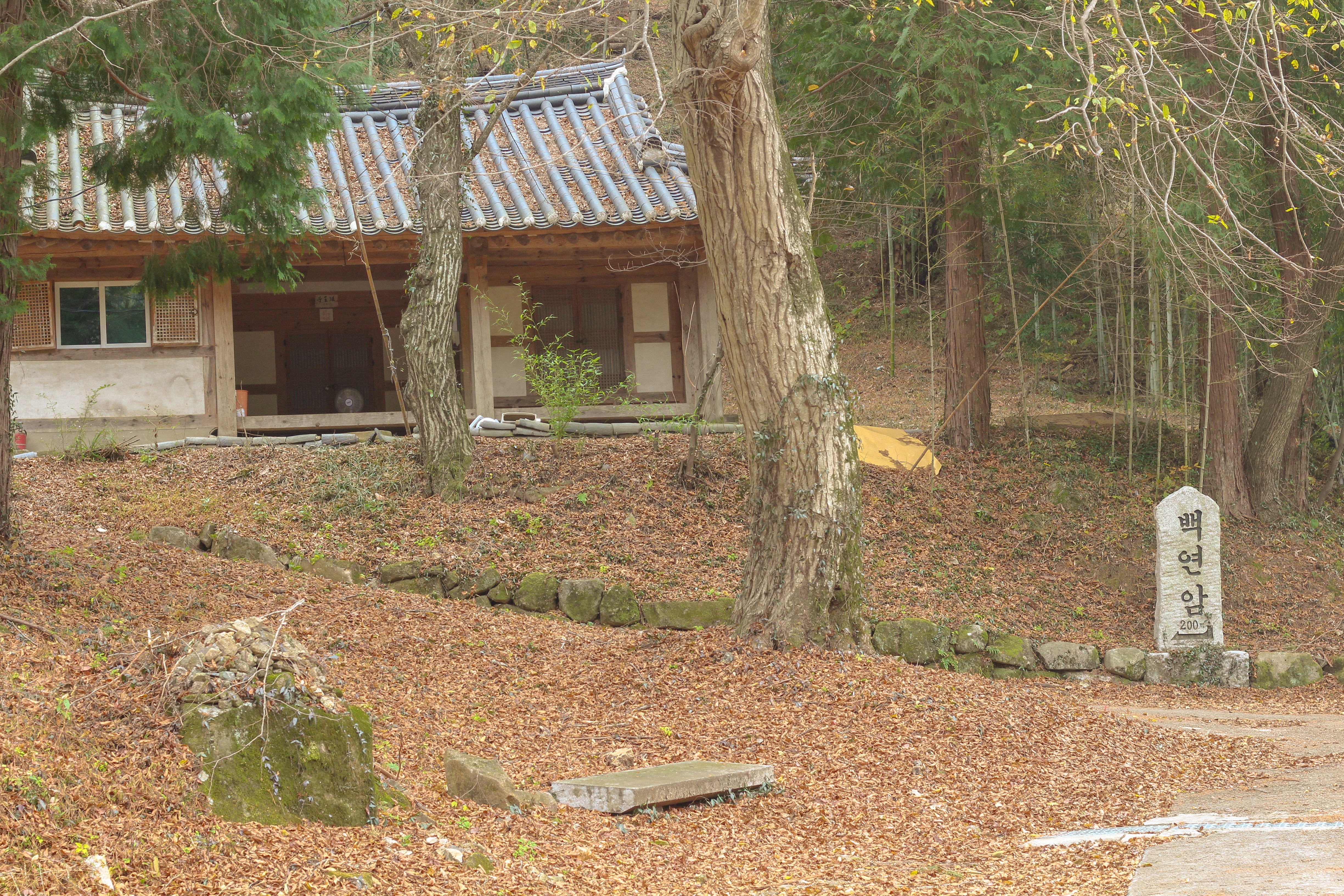 옥천사
